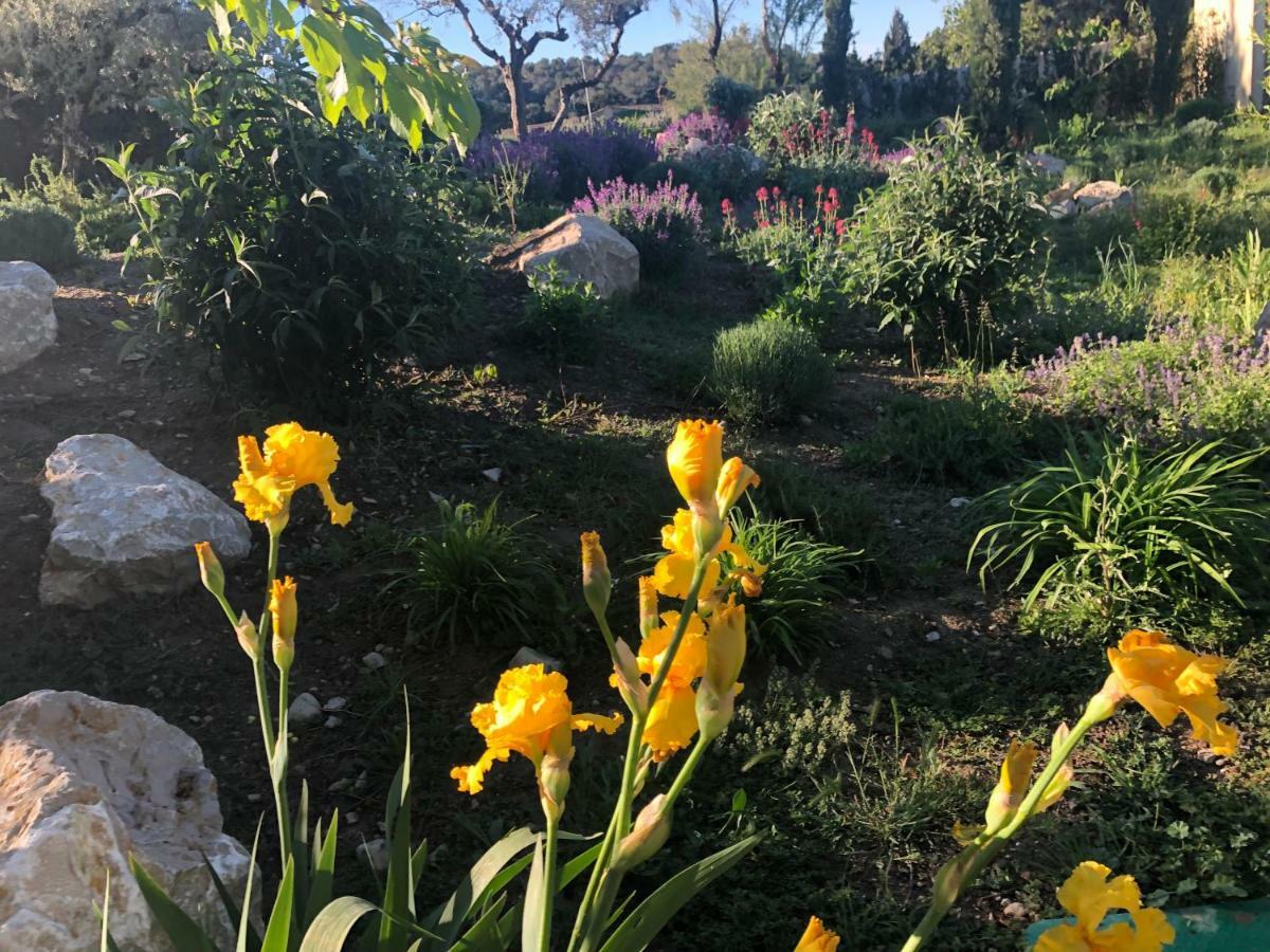 Domaine Du Mas Foucray Aparthotel Les Baux-de-Provence Εξωτερικό φωτογραφία